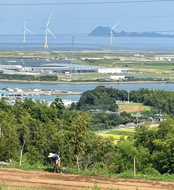 FUJIWARA地区 FUJIWARA地区