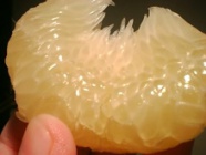 晩白柚